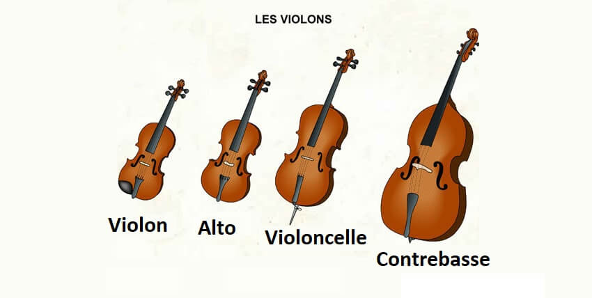 Difference entre Violon et Violoncelle