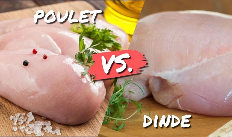 Difference entre la dinde et le poulet