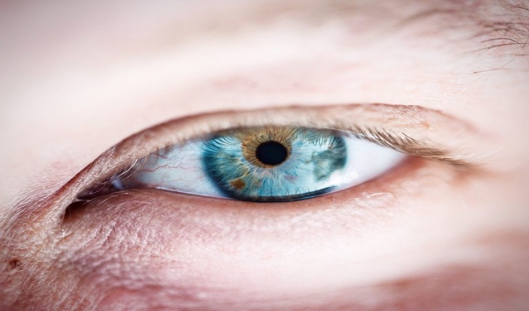 Difference entre la retine et la cornee